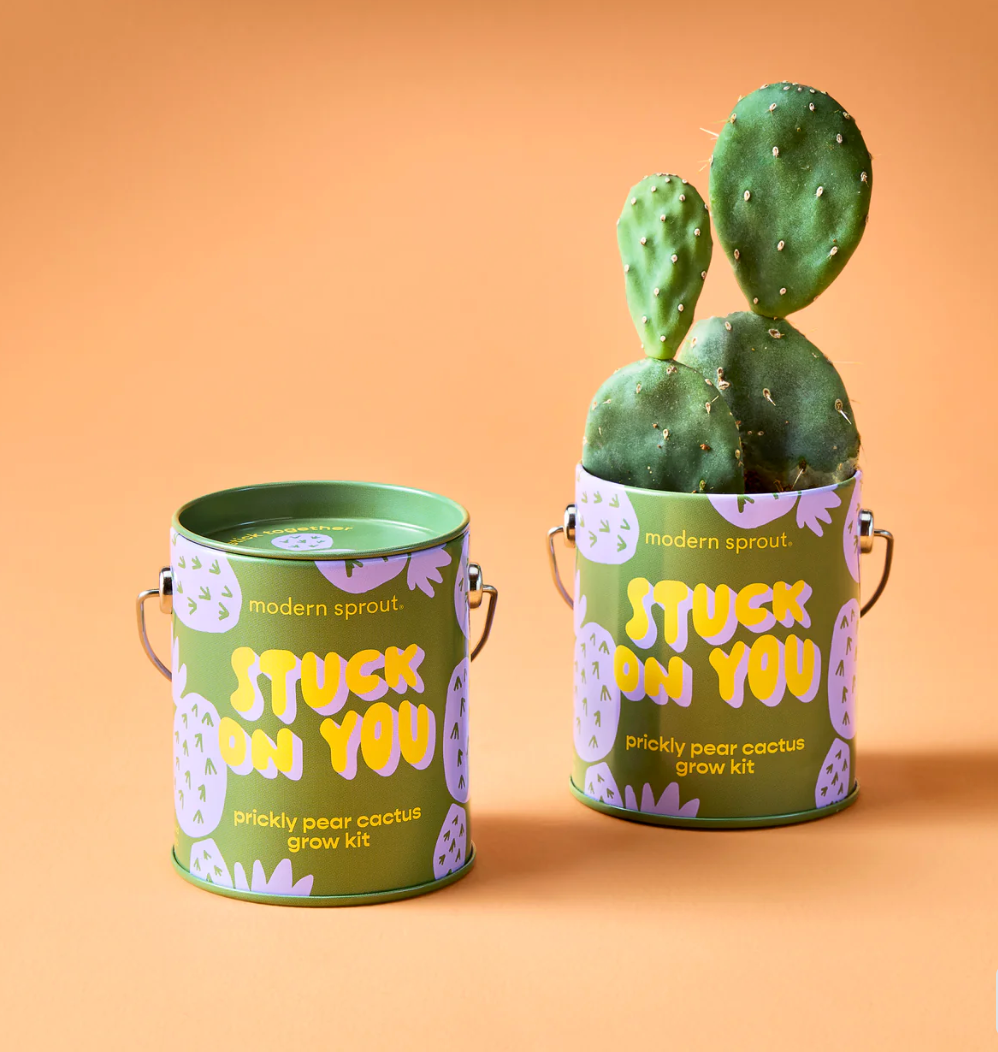 Kits de culture - Modern Sprout