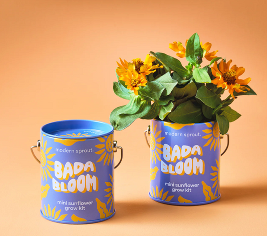 Kits de culture - Modern Sprout