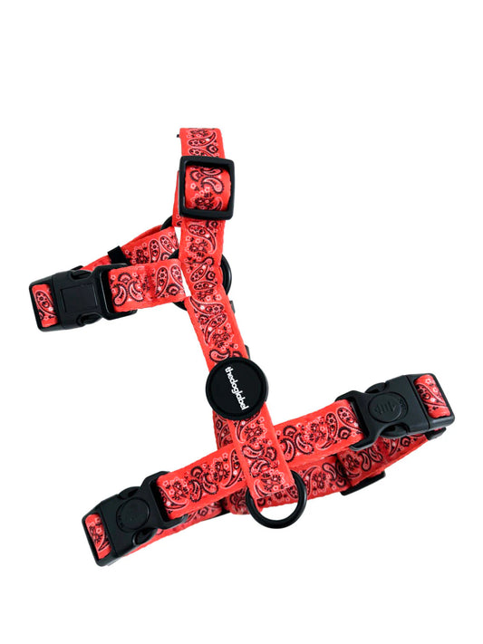 Harnais pour chien en H "Paisley" - The Dog Label