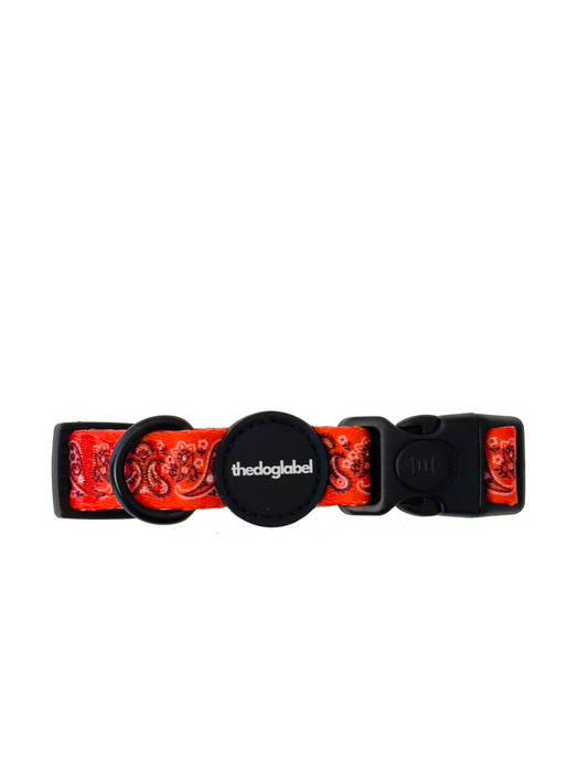 Collier pour chien "Paisley" - The Dog Label