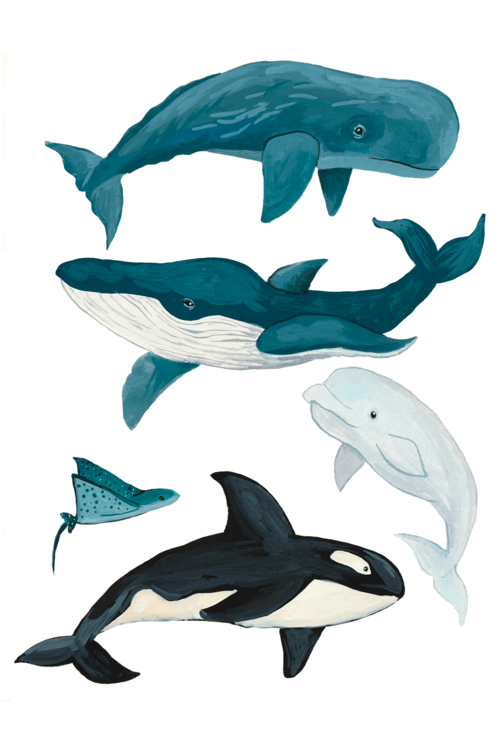Carte bleu et blanc avec dessin de baleine, dauphin, orque et raie