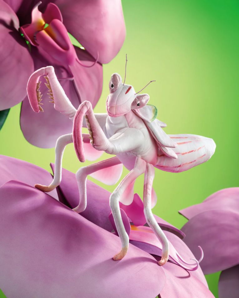 Marionnette Orchid Mantis Mante Orchidée - Folkmanis