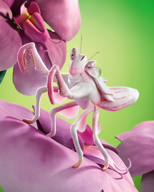 Marionnette Orchid Mantis Mante Orchidée - Folkmanis