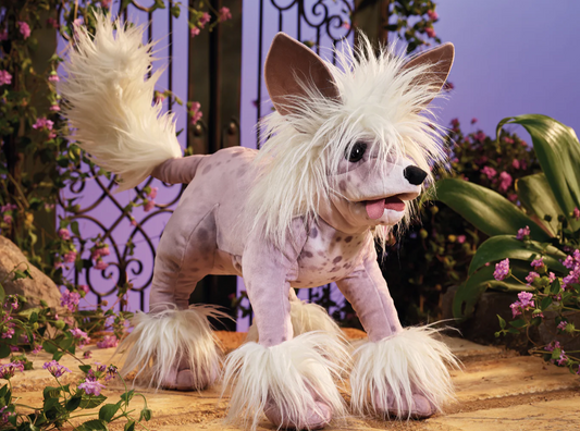 Marionnette Chien Chinois a Crete Chinese Crested Dog - Folkmanis