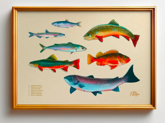Collection Illustrations - Les Nuages
