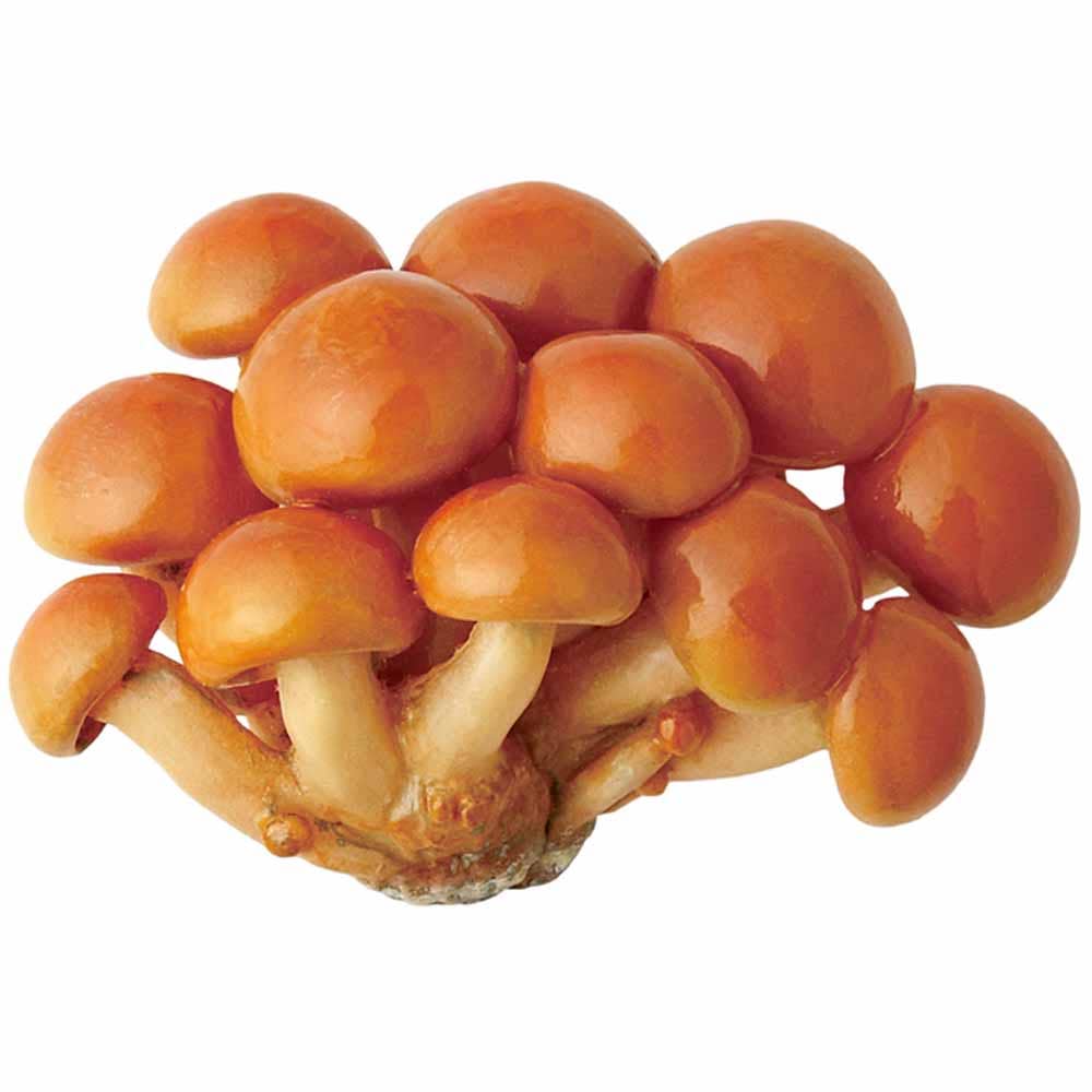 Breloque Mystere Champignon Mushroom Blind Box - Clever Idiots Inc.