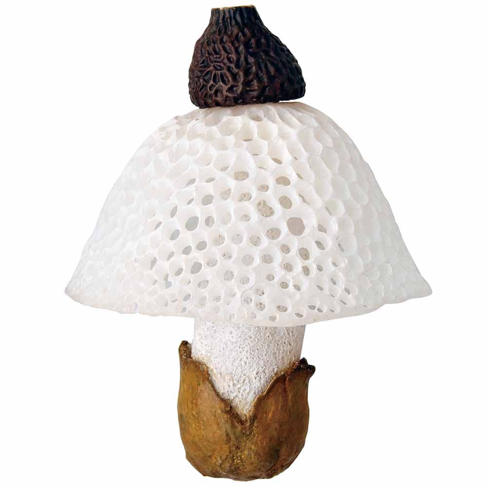 Breloque Mystere Champignon Mushroom Blind Box - Clever Idiots Inc.