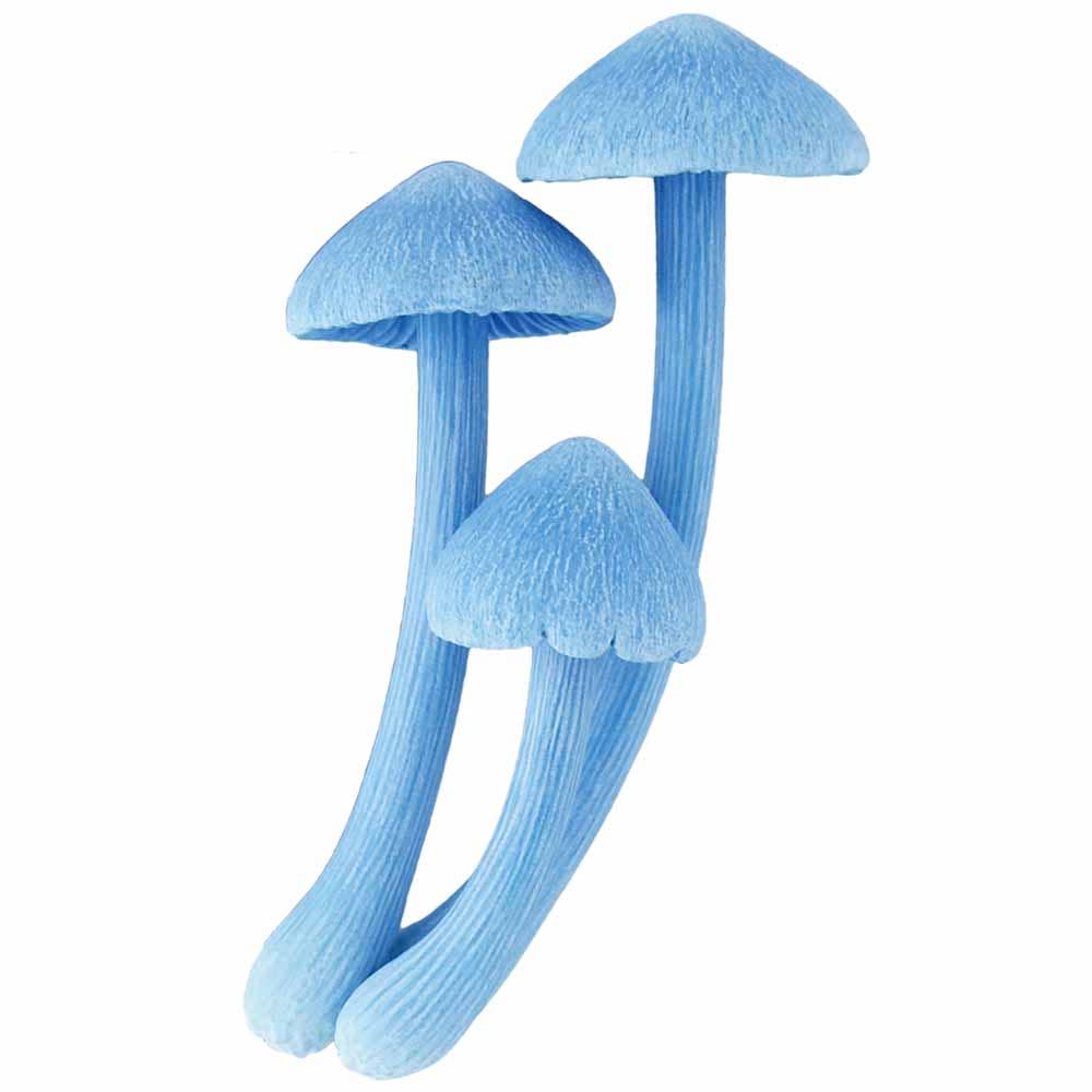 Breloque Mystere Champignon Mushroom Blind Box - Clever Idiots Inc.