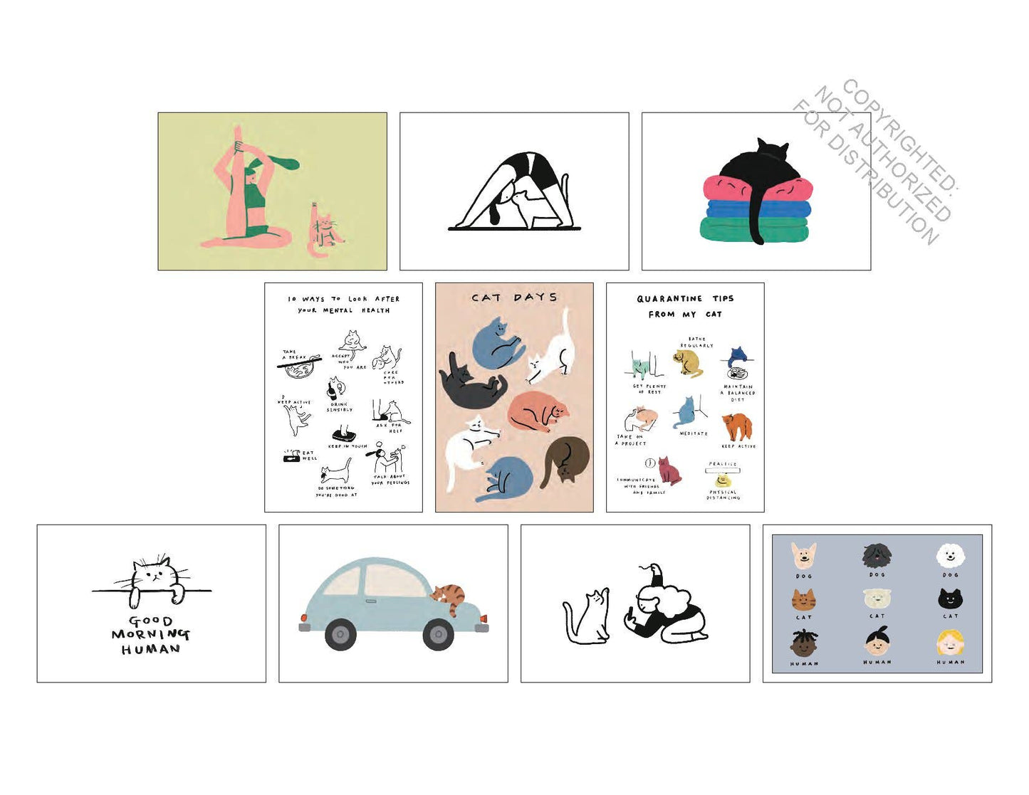 100 cartes postales Cat Box - Raincoast