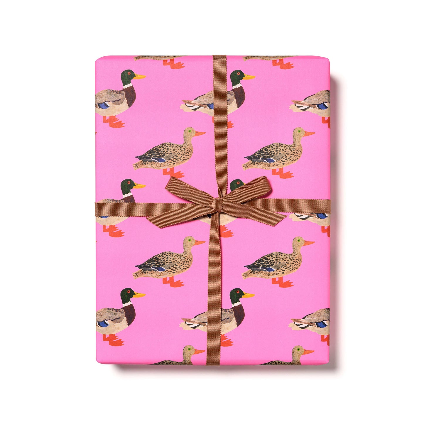 Collection papier d'emballage - Red Cap Cards