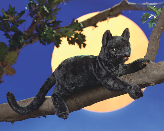 Black cat - Chat noir marionnette - Folkmanis