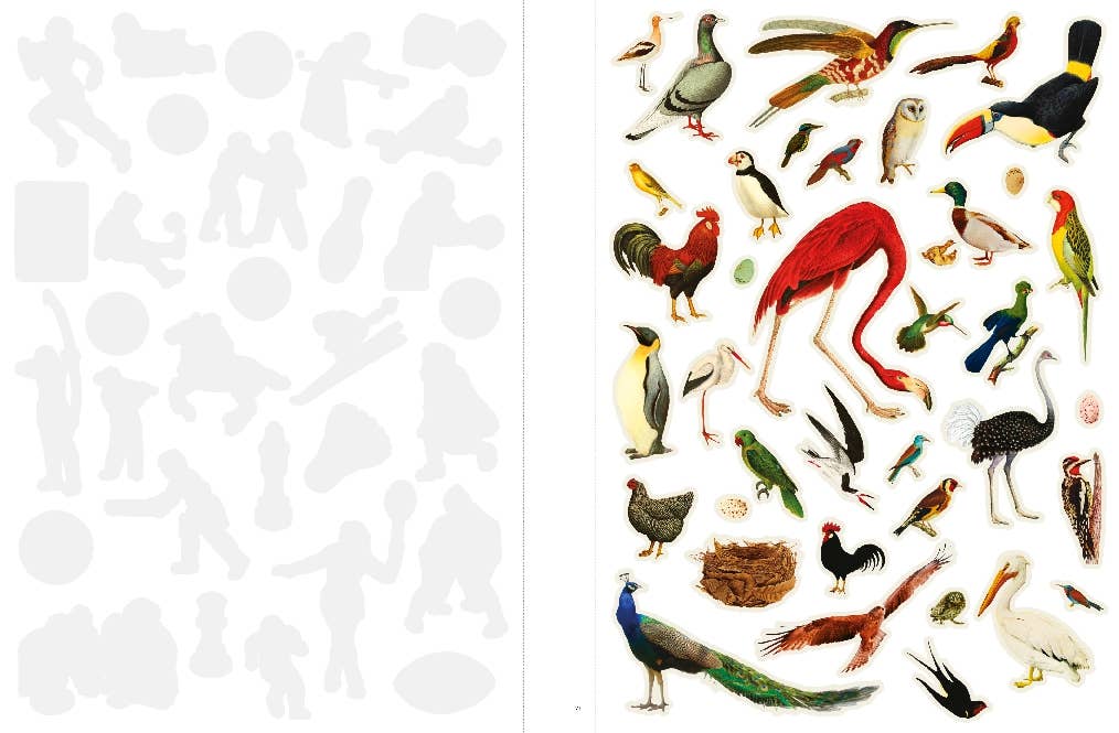 Livre découpage et collage "Even More Extraordinary Things to Cut Out and Collage" - Raincoast