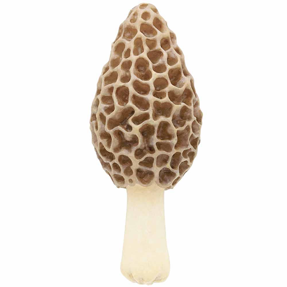 Breloque Mystere Champignon Mushroom Blind Box - Clever Idiots Inc.