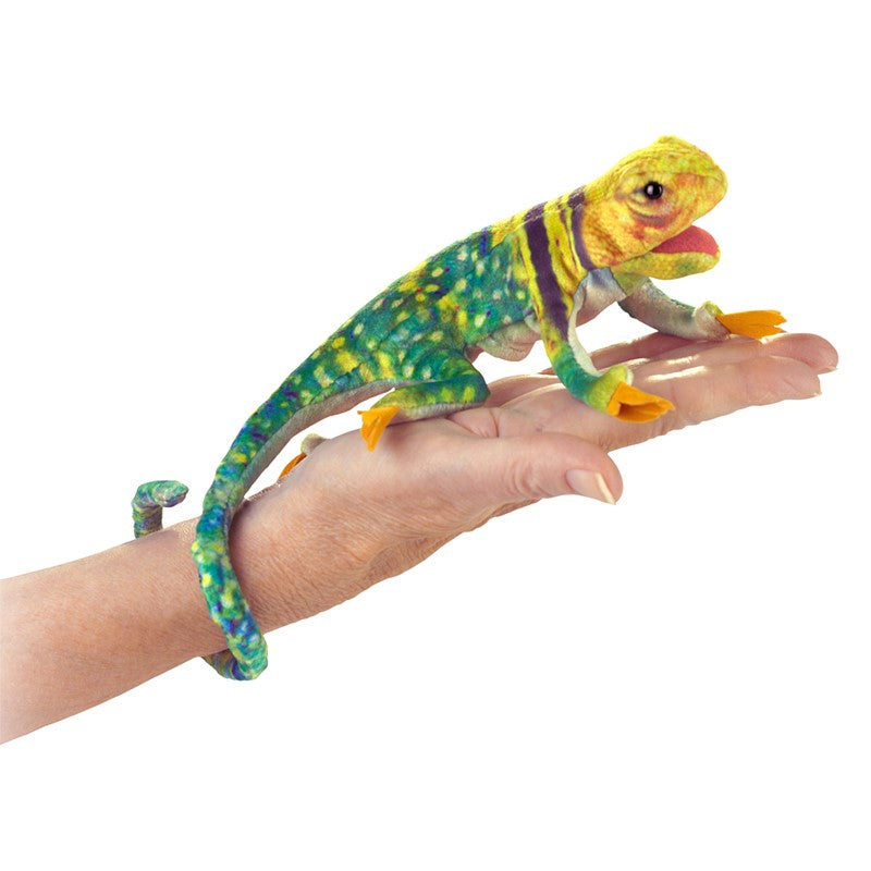 Marionnette mini lézard collared lizard - Folkmanis