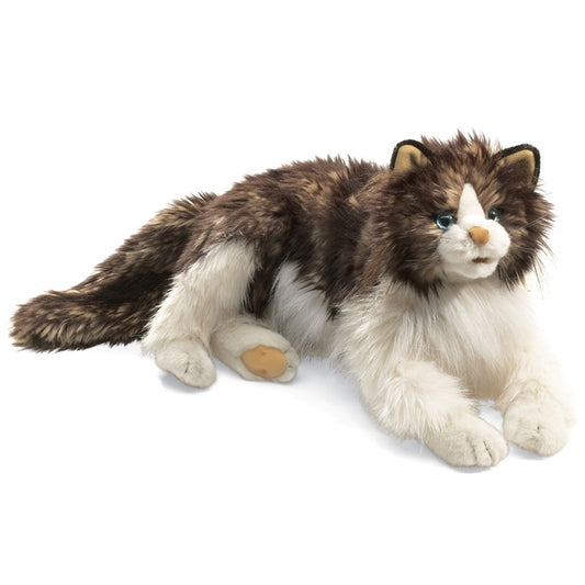 Marionnette Chat Ragdoll cat - Folkmanis