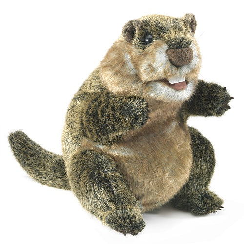 Marionnette Groundhog Castor - Folkmanis