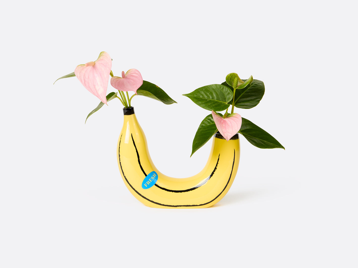 Vase Banane - Banana Vase - DOIY