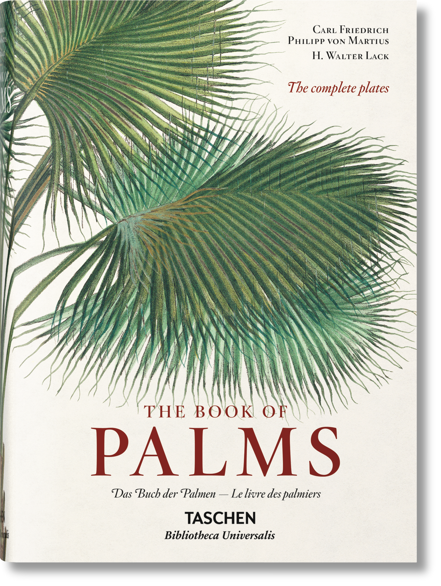 Les palmiers - Von Martius - Taschen