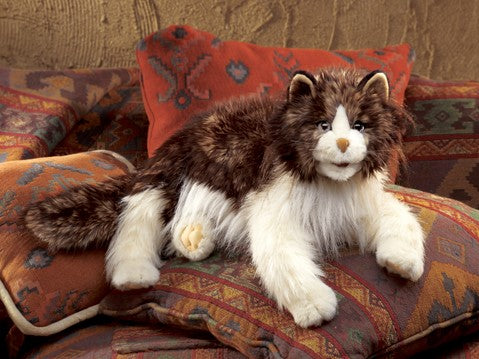 Marionnette chat Ragdoll - Folkmanis